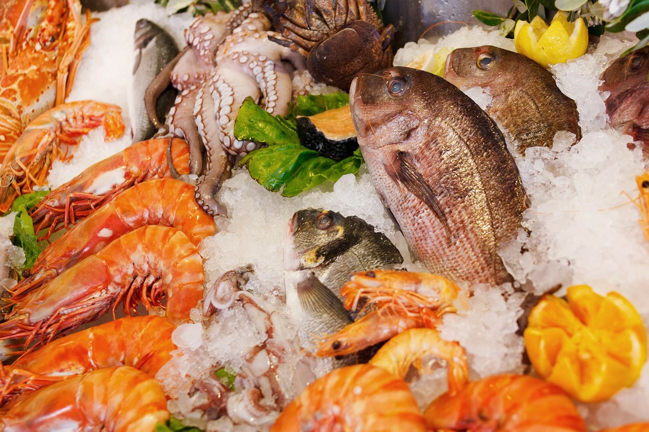 Scientific study: Plastic found in all seafood